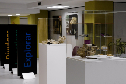 La exposición se podrá ver en el Aula de Medio Ambiente de Fundación Caja de Burgos ECB