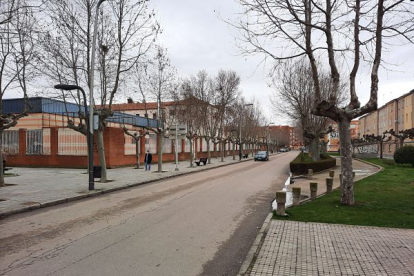 En principio el mercado se ubicará en la Avenida de Burgos. L. V.
