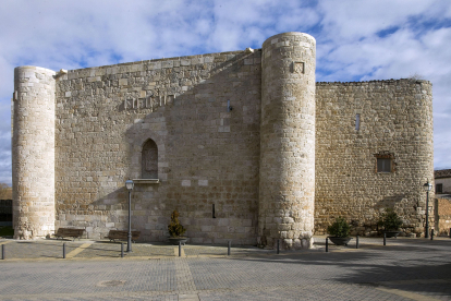 Castillo de Cabia-Casa Fuerte de los Rojas.  TOMÁS ALONSO