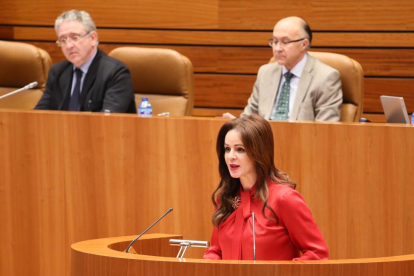 La presidenta de las Cortes, Silvia Clemente abre el turno de lectura del Estatuto.-ICAL