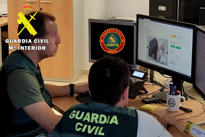 Miembros del equipo de asesoramiento, prevención y respuesta en materia de ciberdelincuencia de la Comandancia de Burgos, trabajando en el caso. ECB