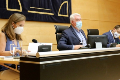 El procurador burgalés José Ignacio Delgado en la comisión. ICAL