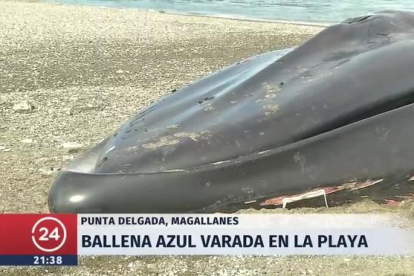 Una ballena azul varó en el borde costero y no sólo llamó la atención por sus 30.000 kilos.-/ PERIODICO (YOUTUBE)