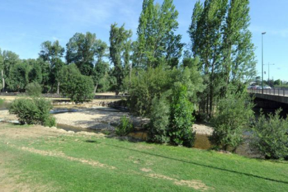 Imagen del parque de La Quinta, cerca de la plaza del Rey, una de las zonas en las que se basará la redacción del plan.-ISRAEL L. MURILLO