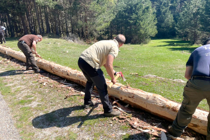 Trabajo de preparación del tronco del pino. Se ha realizado todas las labores de apeo y labrado con herramientas tradicionales.