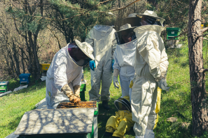 Jalea Rural es un proyecto asentado en Pradolunego que quiere poner en valor la importancia de las abejas. JALEA RURAL