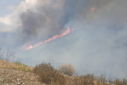 Imagen del incendio en Pineda de la Sierra. @INFOCYL