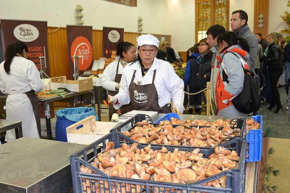 Las setas son un recurso gastronómico muy apreciado en la comarca de Pinares que genera un gran impacto social y económico.-R.F.