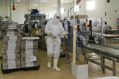 Varios empleados en una de las líneas de producción de Gambafresh, que aumenta su carga de trabajo en estas fechas.-RAÚL OCHOA