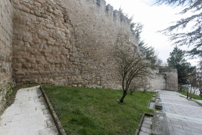 La muralla de Burgos en las inmediaciones del Arco de San Martín adolece de conservación. SANTI OTERO