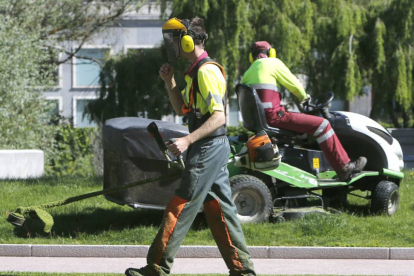 Un operario municipal realiza labores de clareo en un jardín.-RAÚL G. OCHOA