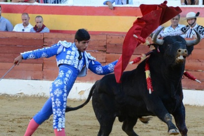 Novillo de Sánchez Arjona lidiado en Roa. En 2015 ha aumentado el número de utreros jugados.-ALBERTO CALVO