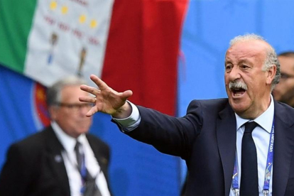 Del Bosque, durante el partido entre España e Italia del pasado lunes en el Eurocopa de Francia.-EFE / GIORGI LICOVSKI