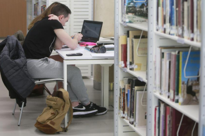 Dos alumnos estudian en la Biblioteca Pública de Burgos.-RAÚL G. OCHOA