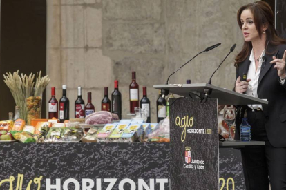 La consejera de Agricultura y Ganadería, Silvia Clemente, expuso las conclusiones y objetivos de Agrohorizonte 2020.-SANTI OTERO