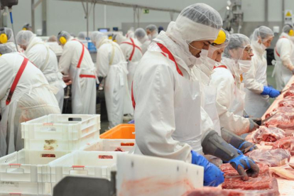 Imagen de trabajadores en la cadena de despiece de Carnes Selectas.-ISRAEL L. MURILLO