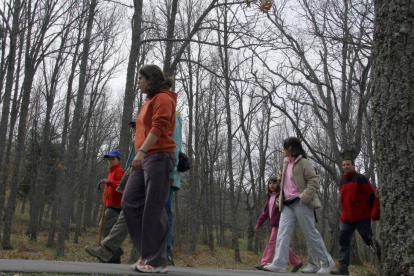 El Ceneam de Valsaín pone en marcha rutas guiadas por los Montes de Guadarrama con una nueva iniciativa que incluye actuaciones musicales en directo-Ical