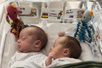 Dariel y Arlet, con sus pulpitos, en la unidad de bebes prematuros del Hospital de Dexeus.-JUAN LUIS ROD