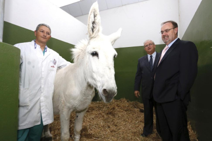 El consejero de Educación de la Junta, Fernando Rey, visita las instalaciones del Hospital Veterinario de León-Ical