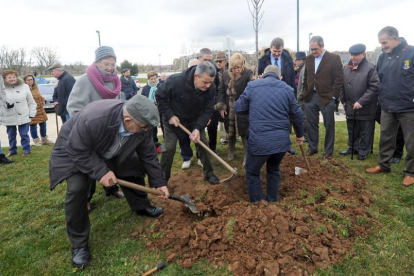 Miembros de la asociación celebran el Día Mundial del Parkinson plantando árboles con motivo de la campaña ‘Un árbol por el Parkinson’.-ISRAEL L. MURILLO