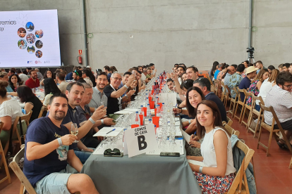 Este año participan 77 bodegas de Ribera del Duero