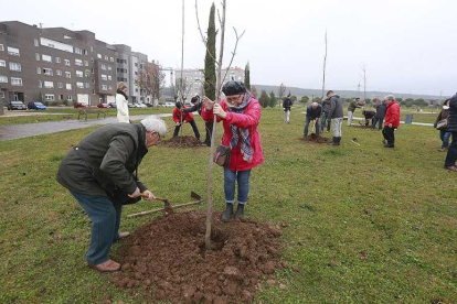 Uno a uno, la asociación ha ido plantando en esta zona verde de Burgos capital cerca de 40 nuevos árboles.-SANTI OTERO