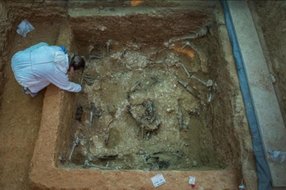 Restos de 60 fusilados de la represión franquista en una fosa común 113 del cementerio de Paterna (Valencia).-MIGUEL LORENZO
