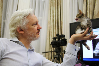 Julian Assange, con su nuevo compañero en la Embajada de Ecuador en Londres.-HANDOUT / REUTERS