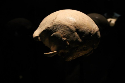 Cráneo de Agamenón, fue el primero en aparecer y lo hizo de una pieza. SANTI OTERO