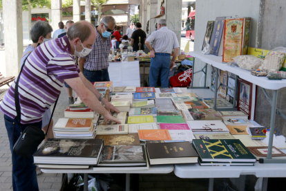 Un hombre consulta los libros a la venta en un puesto de la plaza de España. RAÚL G. OCHOA