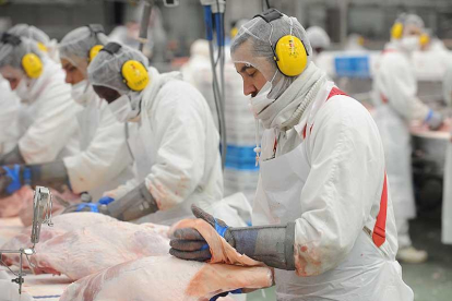 Operarios de Carnes Selectas durante su jornada laboral.-ISRAEL L. MURILLO