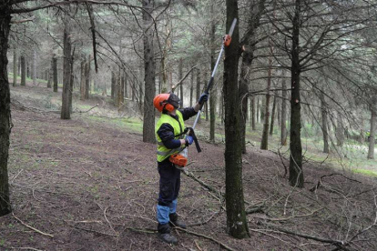 La contratación de brigadas forestales es una de las afectadas. ECB