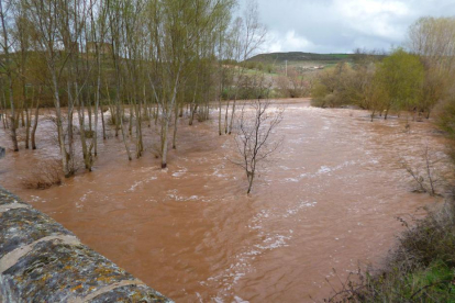 El puente de la carretera de Escuderos, testigo mudo de la crecida del Arlanza al pasar bajo sus pies.-ECB