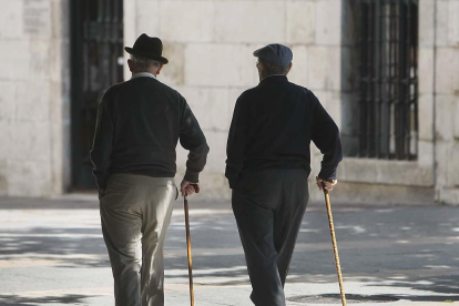 Imagen de dos personas mayores paseando por el centro de la ciudad.-RAÚL G. OCHOA