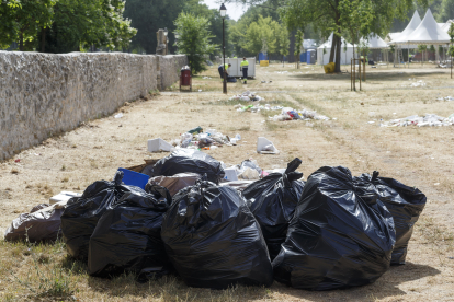 Miles de kilos de basura han inundado el parque del Parral tras el Curpillos. SANTI OTERO