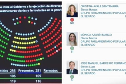 Cristina Ayala se confundió al votar su propia iniciativa