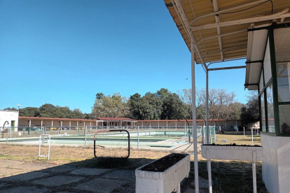 La familia trabaja para acondicionar la piscina.