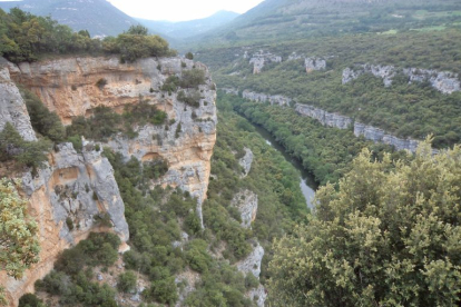 Vista parcial del cañón del Ebro desde Pesquera. ECB