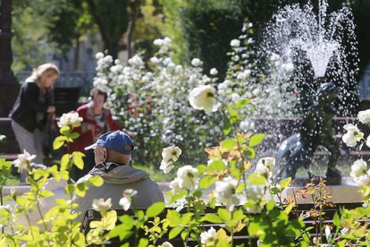 Plantas en el paseo del Espolón. Burgos se presenta como un ‘Jardín urbano’, según el título del Plan de Turismo Sostenible. TOMÁS ALONSO