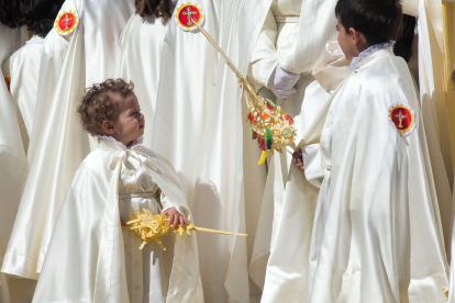Procesión de Jesús en la Borriquilla. TOMÁS ALONSO