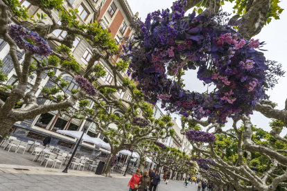 El Paseo del Espolón será el escenario principal para la localización de la mayoría de los proyectos florales junto con la Plaza Mayor, el puente de Santa María y el Principal