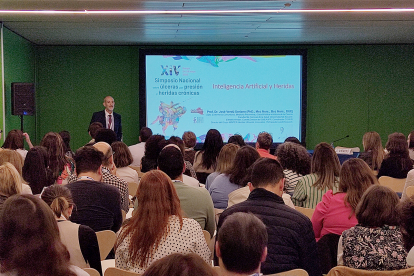 80 ponentes han participado en el XIV Simposio Nacional sobre Úlceras por Presión y Heridas Crónicas.