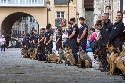 La plaza de San Juan acoge una exhibición de guía caninos.