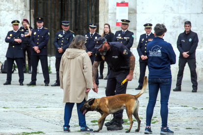 La plaza de San Juan acoge una exhibición de guía caninos.