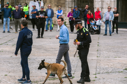 La plaza de San Juan acoge una exhibición de guía caninos.