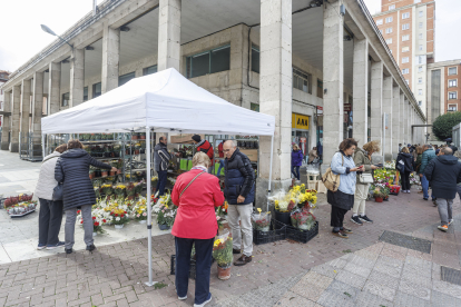 El Mercado de Flores de Plaza España, una decena de puestos, registro su pico de actividad en la vispera del Día de Todos los Santos.