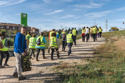 Instante de la plantación promovida por Fundación Oxígeno.