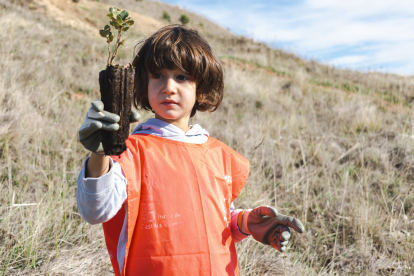 Instante de la plantación promovida por Fundación Oxígeno.