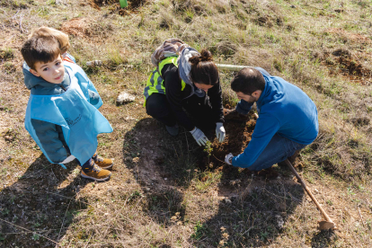 Instante de la plantación promovida por Fundación Oxígeno.