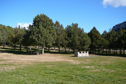 Parque del Sabinares del Arlanza-La Yecla.